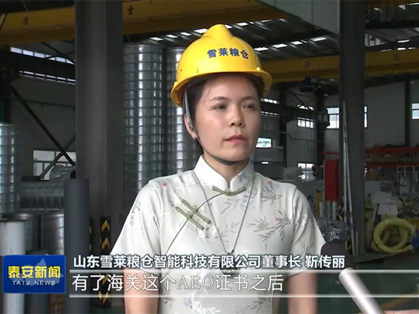 紧跟政策风向，把握跨海之帆-星空电子将以满腔热情让世界爱上中国造